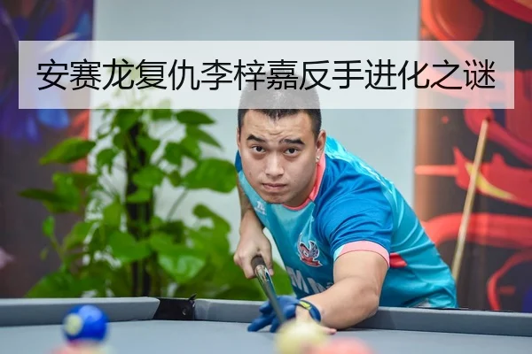 安赛龙复仇李梓嘉反手进化之谜
