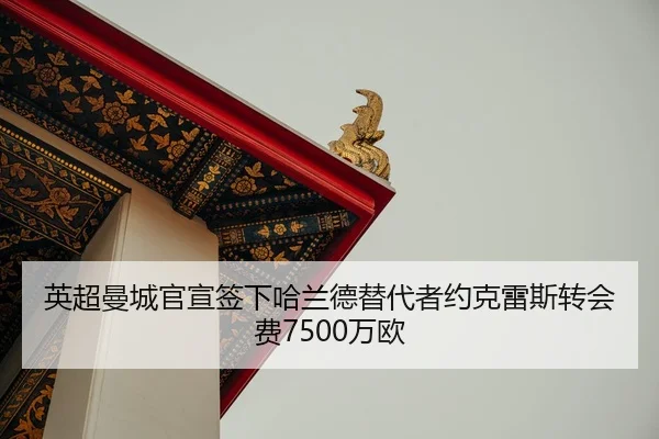 ying-chao-man-cheng-guan-xuan-qian-xia-ha-lan-de-ti-dai-zhe-yue-ke-lei-si-zhuan-hui-fei-wan-ou-3-288.jpg